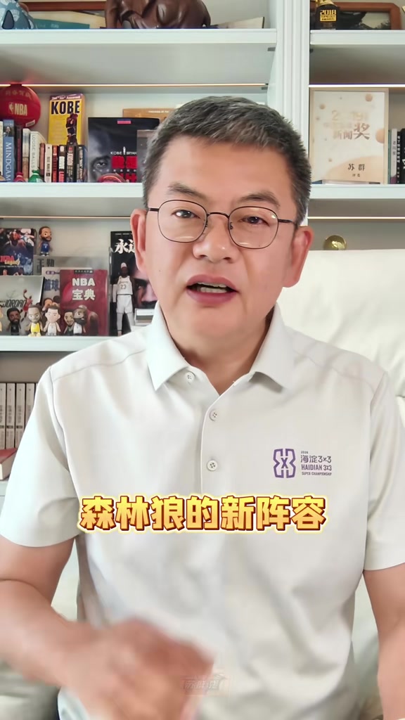 苏群：森林狼大狼变小狼赌得有点大 后卫扎堆&内线孱弱让芬奇为难封面