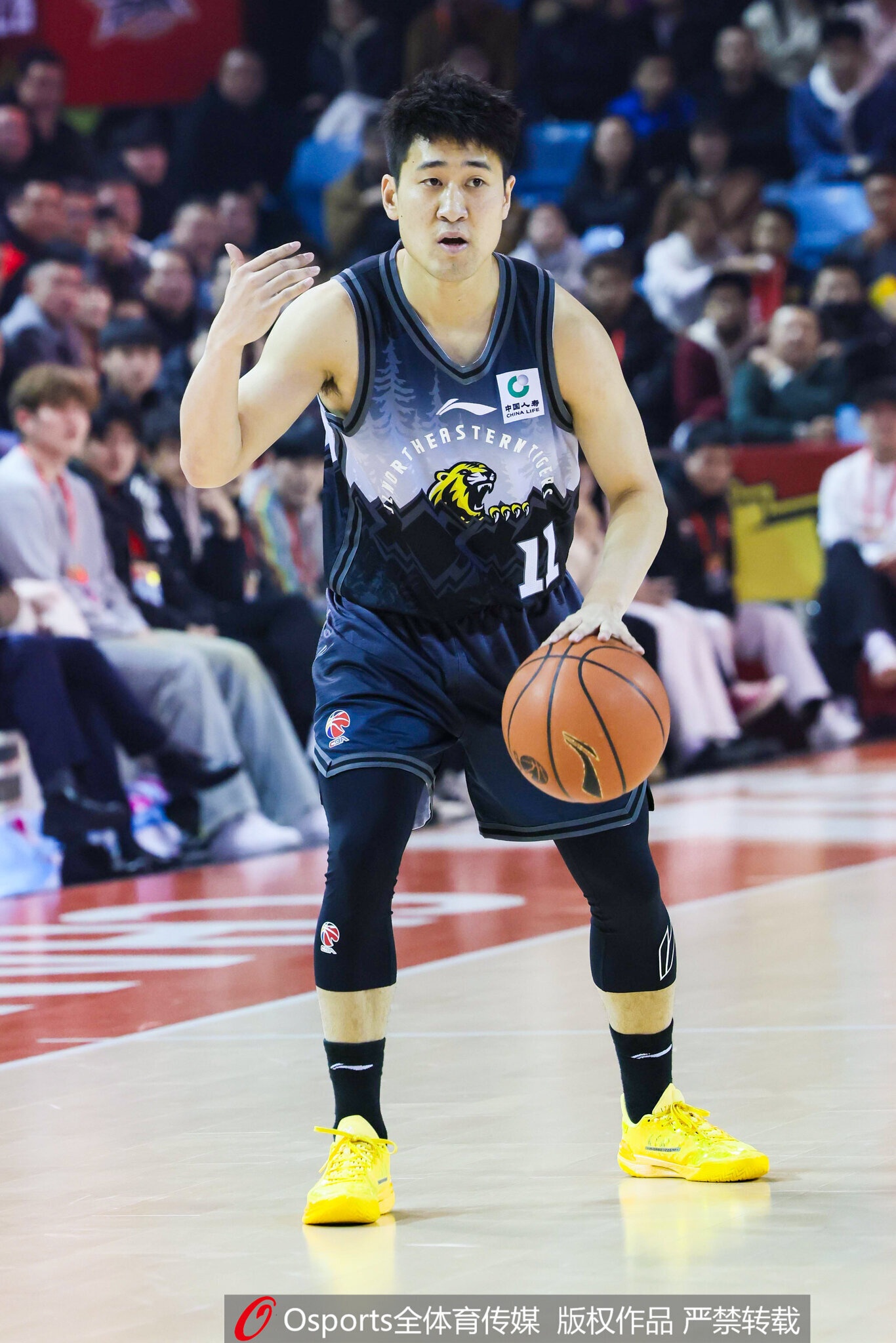 吉林注册11名球员：姜伟泽B类合同还剩1年 崔晋铭续签1年C类合同封面