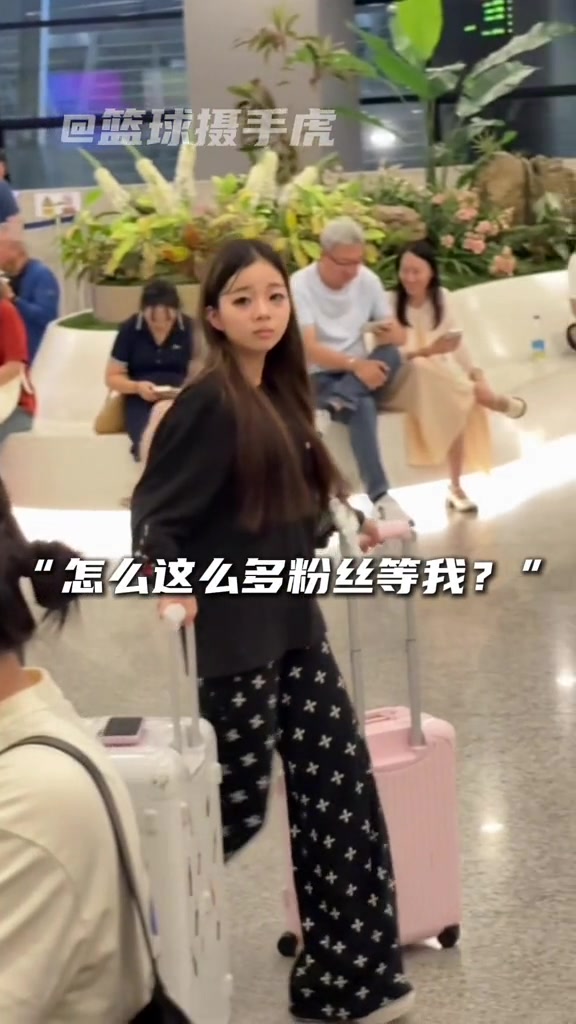 这人比我还火？网红树懒女孩isa被杰伦·威的球迷粉丝惊讶到了封面