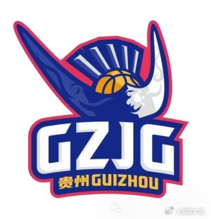 20天20队之贵州极光：神秘之师登陆WCBA，贵州女篮填补版图空白封面