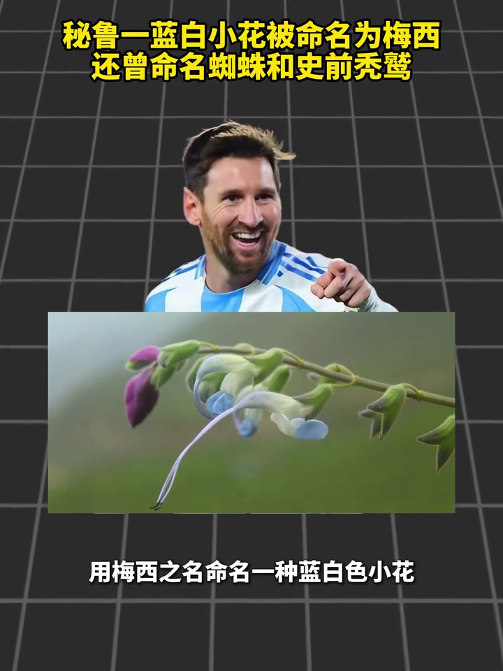 秘鲁一蓝白小花被命名为梅西,还曾命名蜘蛛和史前秃鹫!封面