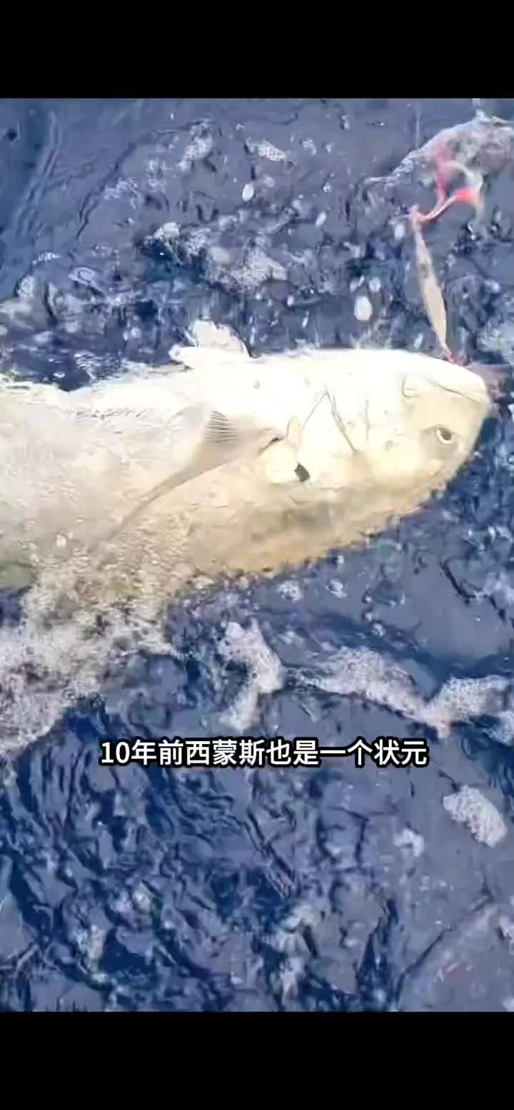 有点意思,钓鱼达人西蒙斯又找到工作了🏀封面