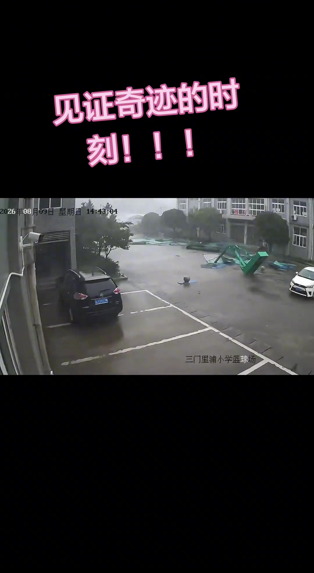 神奇的台风！白海豚太厉害了 台州市小学的篮球架被吹得站起来了封面